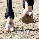 Träning för Eva-Karin Oscarsson