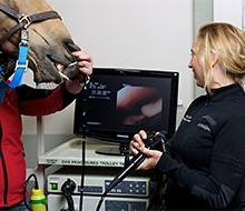 Gastroskopi och magsår